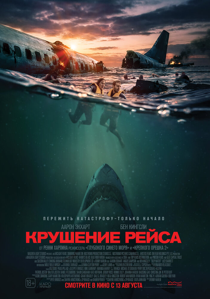 Постер: Крушение рейса (2026)
